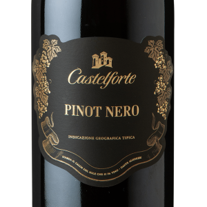 CASALFORTE PINOT NOIR VENETO IGT 2018GARRAFA